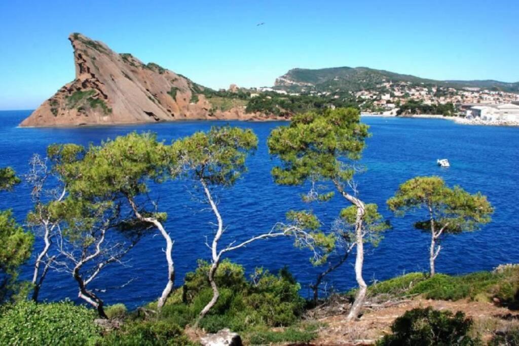L'Oree De La Plage: Appt. Tout Confort 4/6 Pers. 400 M De La Plage ラシオタ エクステリア 写真